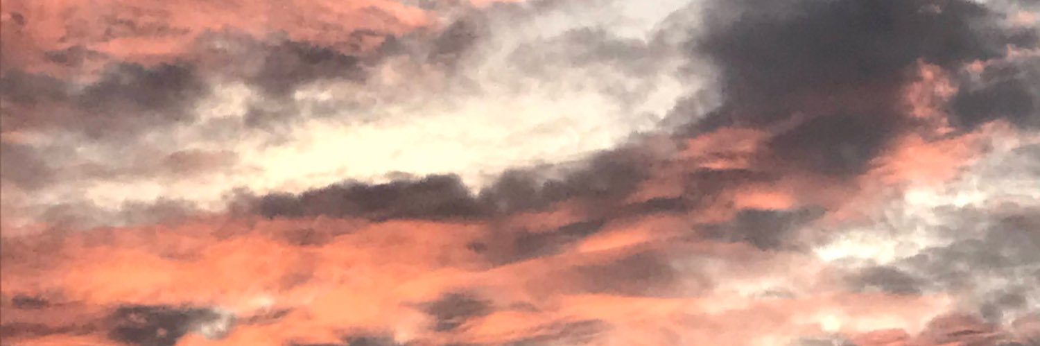 farahdise's profile banner image