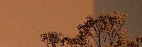 CzVale's profile banner image