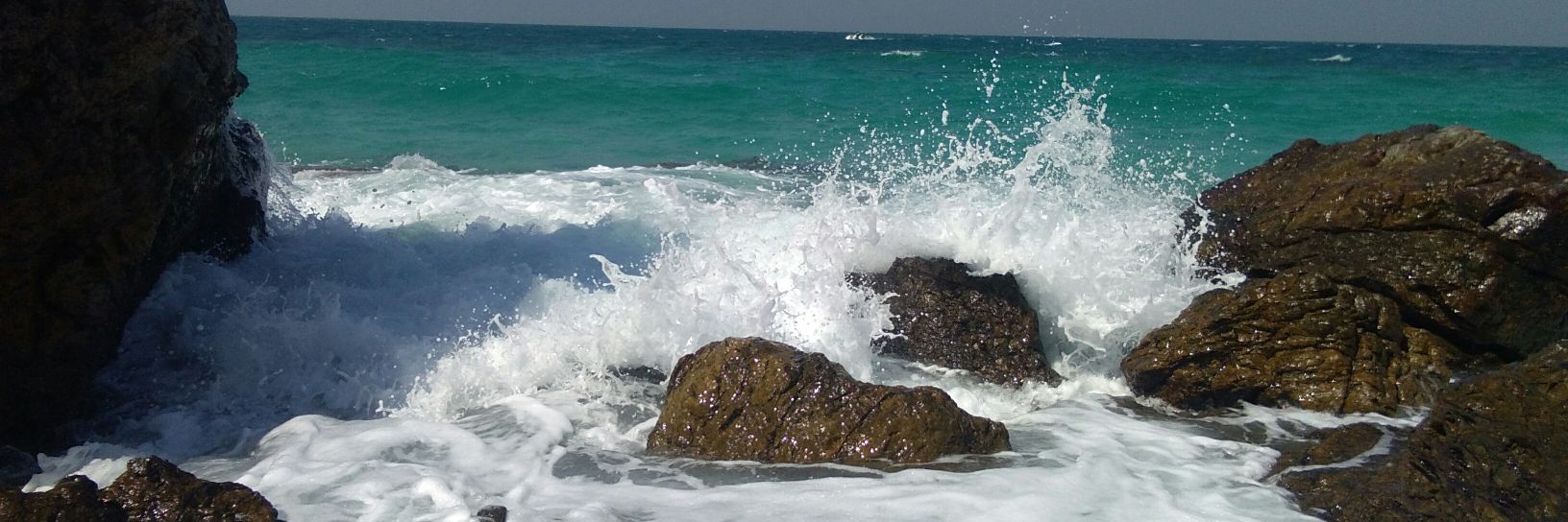 BTScorpii's profile banner image