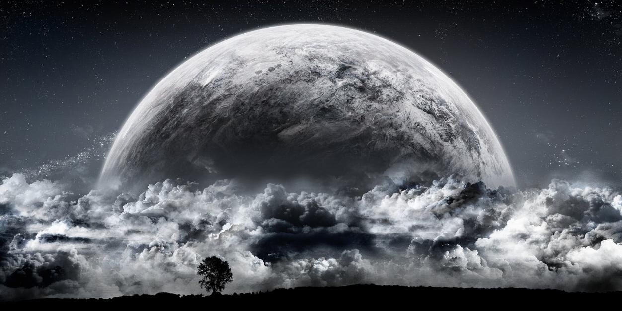 thenkse's profile banner image