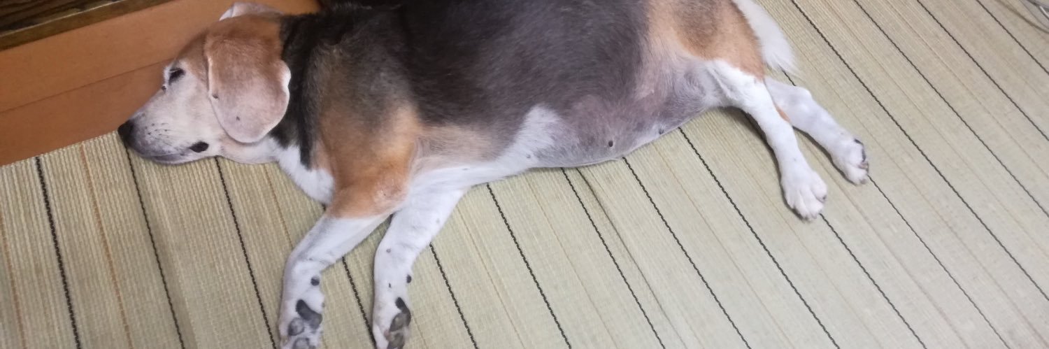 osaanmed's profile banner image