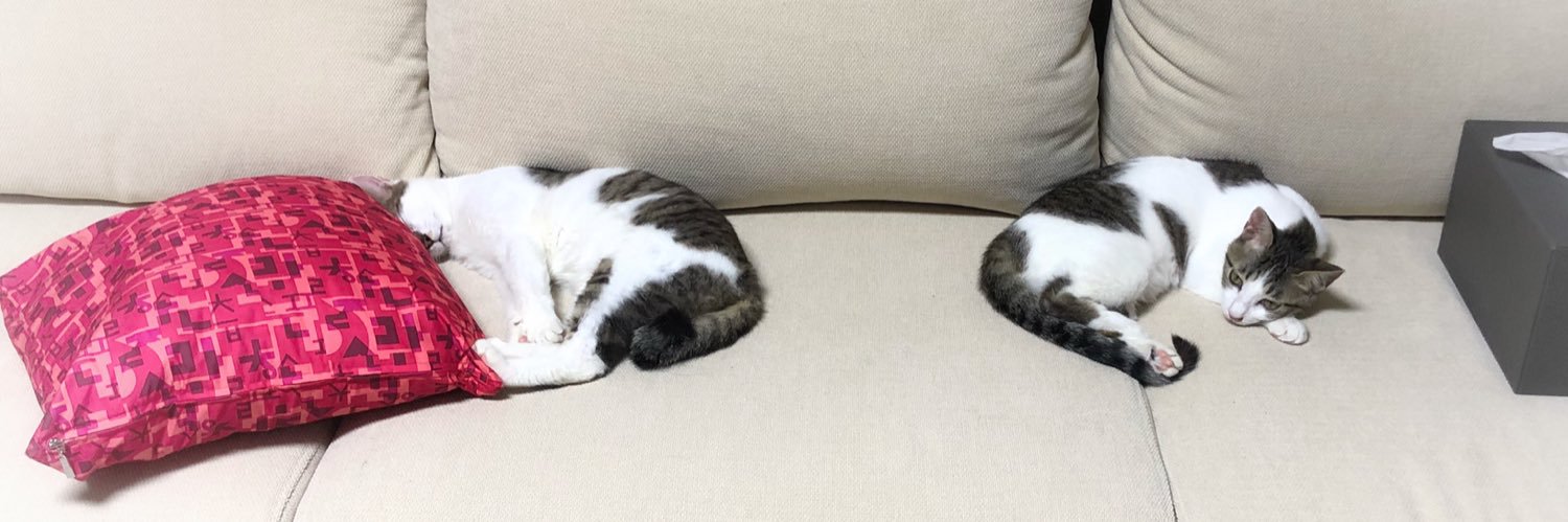 cats_olive's profile banner image