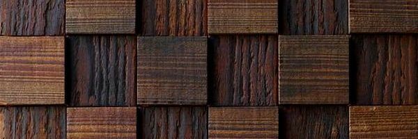 Jackson_silva_9's profile banner image