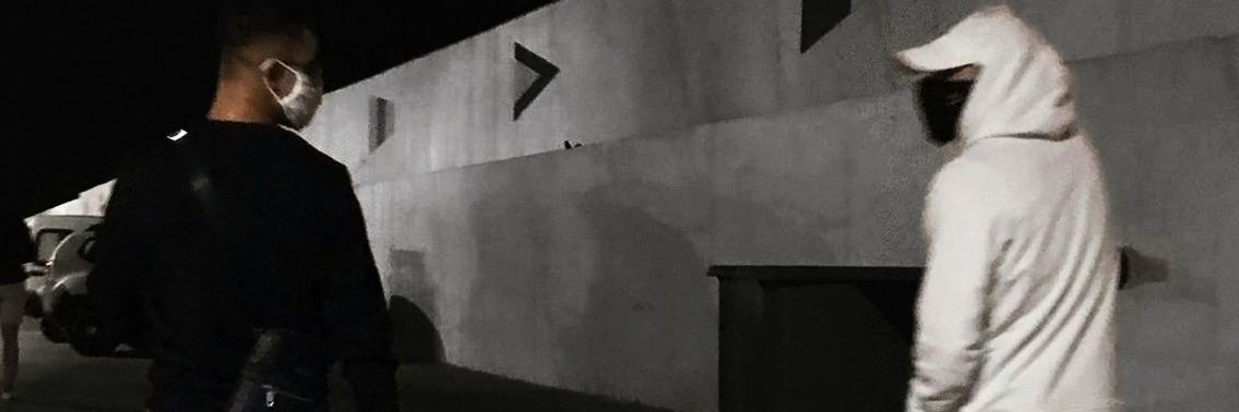 elryalg's profile banner image