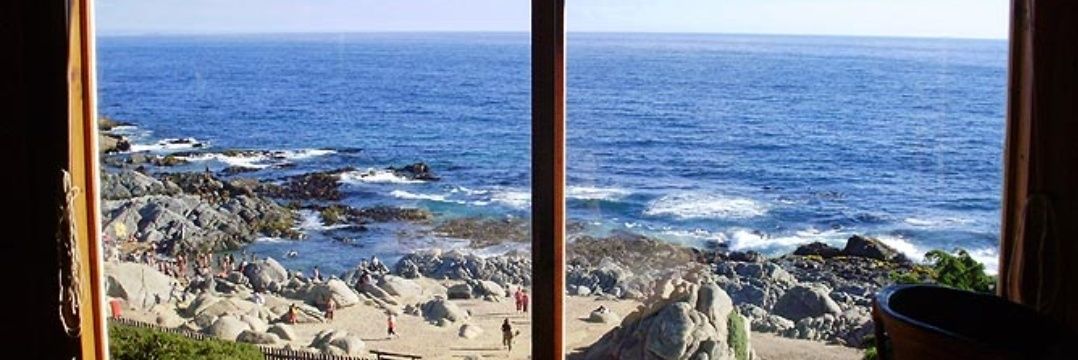 Barrio Adentro banner