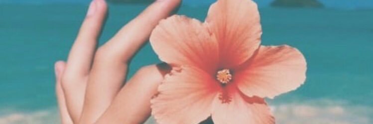 natalymn's profile banner image