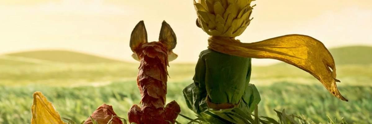 avermanozturk's profile banner image