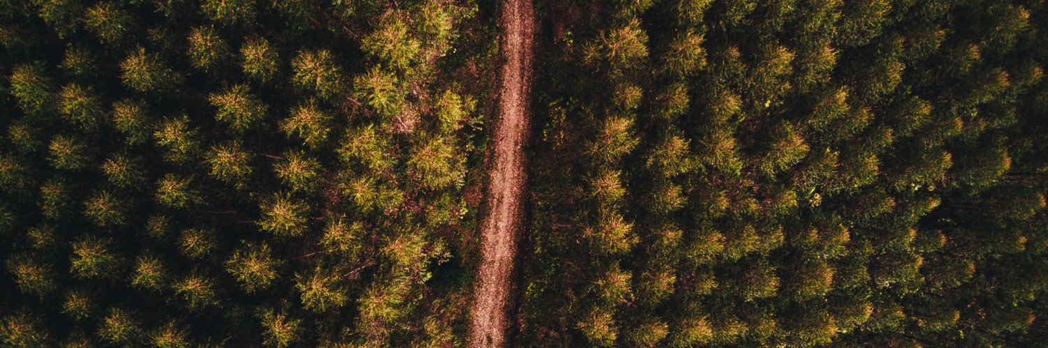 neversroad's profile banner image