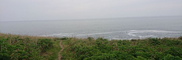 patarodyent Profile Banner