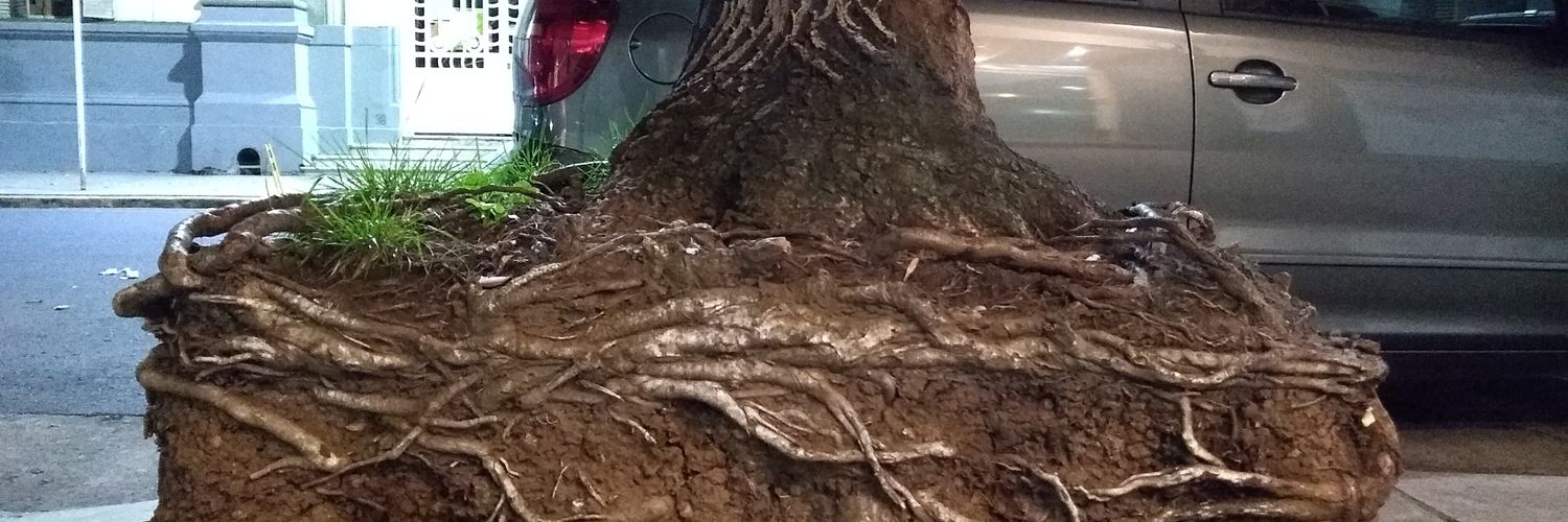 Discurso Vacío banner