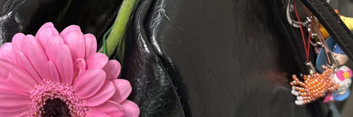 sara ⭐️ banner