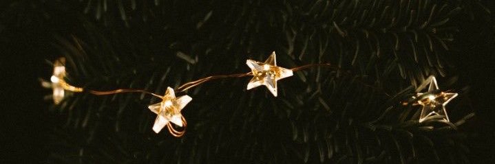 Ricianess's profile banner image