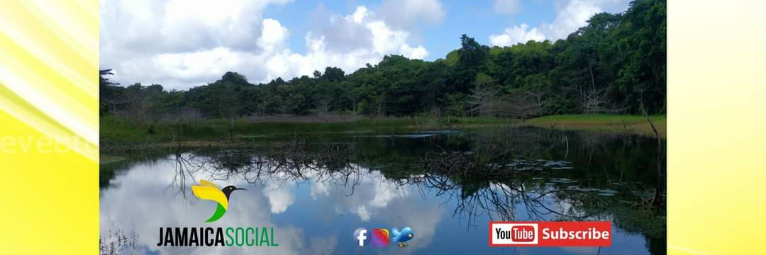 Jamaica Social banner