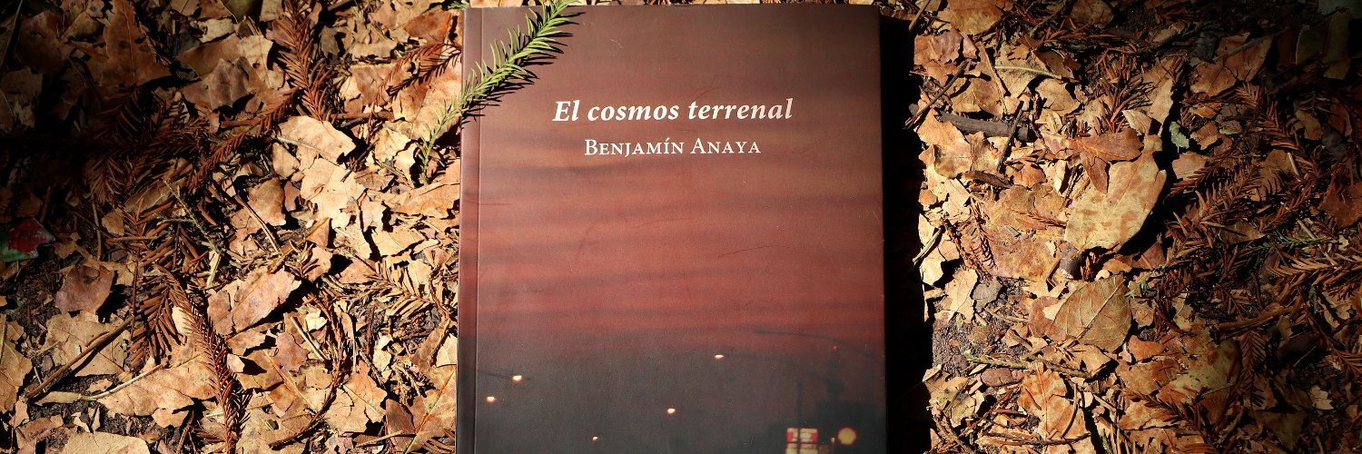 BenjaAnaya's profile banner image