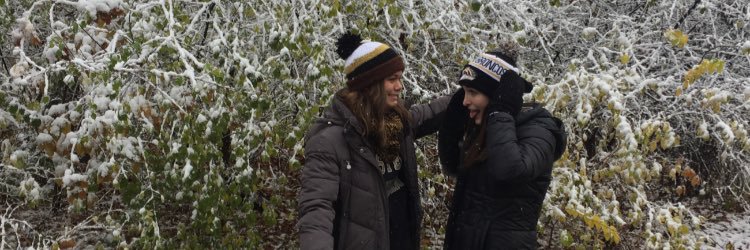 maryrbrt's profile banner image