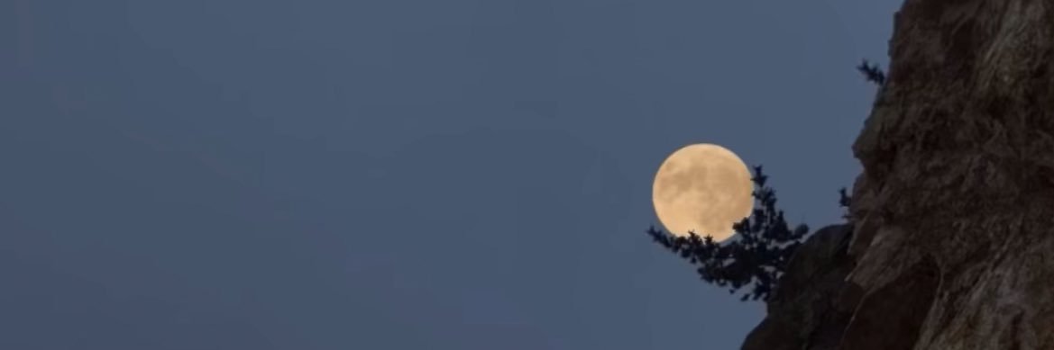 trxpioca's profile banner image