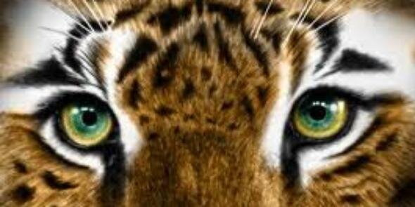 Cintyadrew's profile banner image