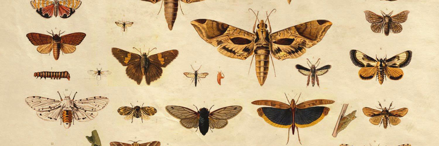 thisisartifacts's profile banner image