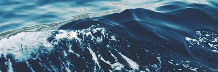 qlh88_'s profile banner image