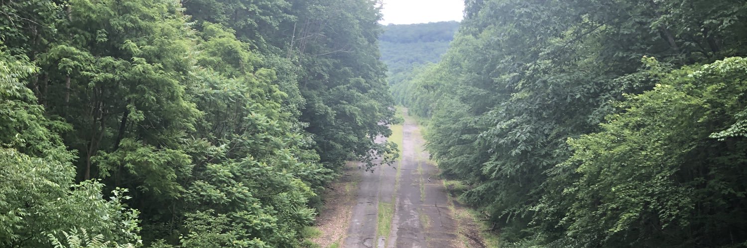 Kellen Stepler banner