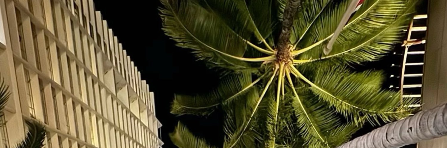 حنين عادل banner