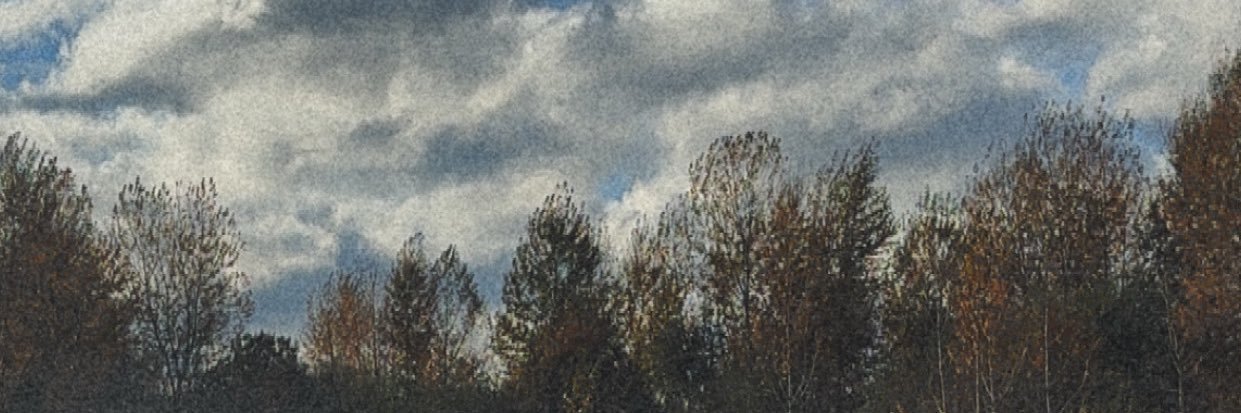 V_dudeee's profile banner image