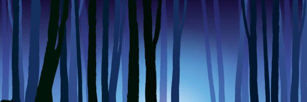 Tipe_Name's profile banner image