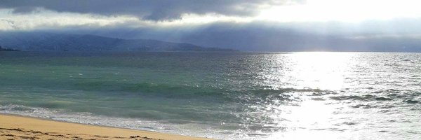 p_miranda_a Profile Banner