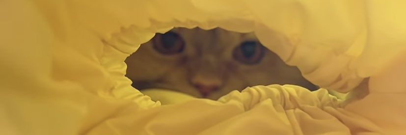 𝒊 𝒍 𝒂 𝒇 𝒚 𝒖 banner