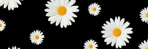Kews banner