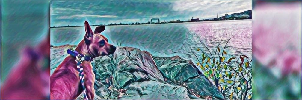 AϝƚσɳJαɱҽʂ banner