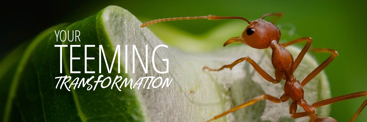 TEEMInnovation's profile banner image