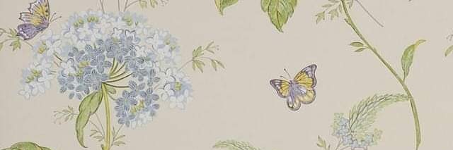Vishmi_A's profile banner image