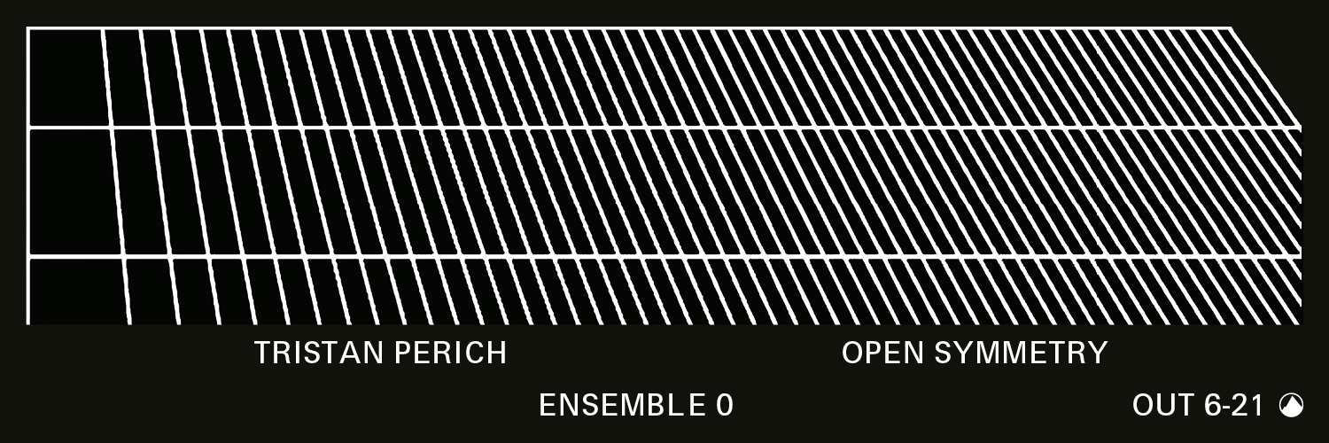 Tristan Perich banner