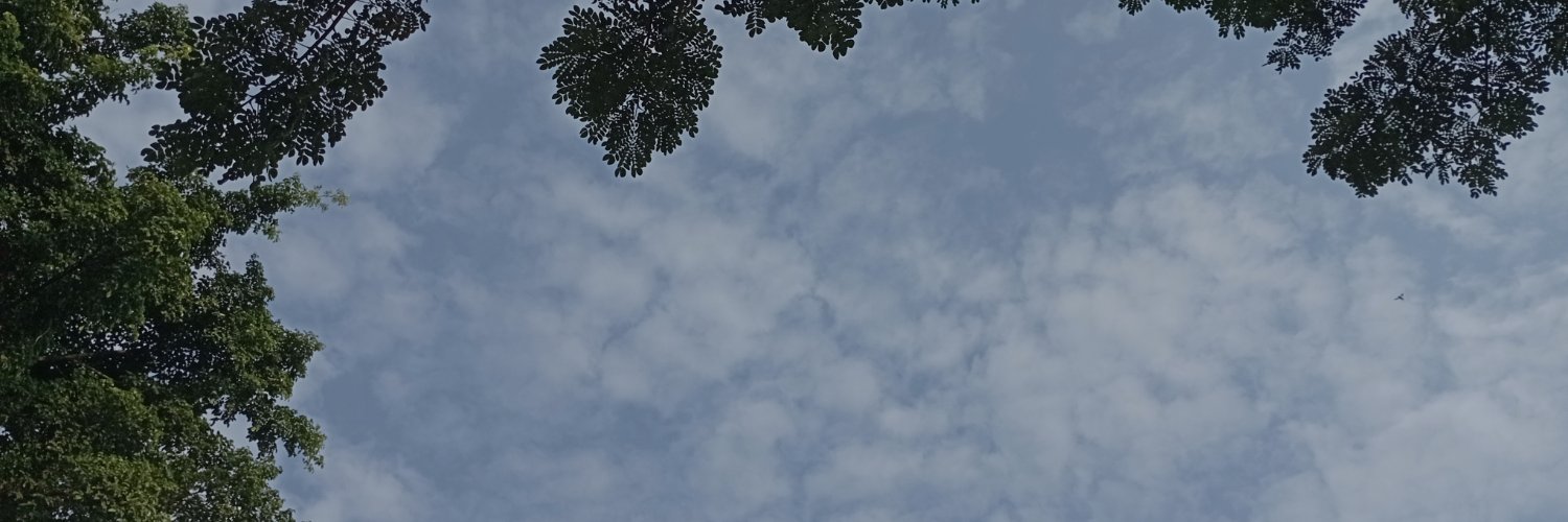 dianzhr's profile banner image