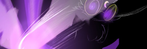 Shine_Paws Profile Banner