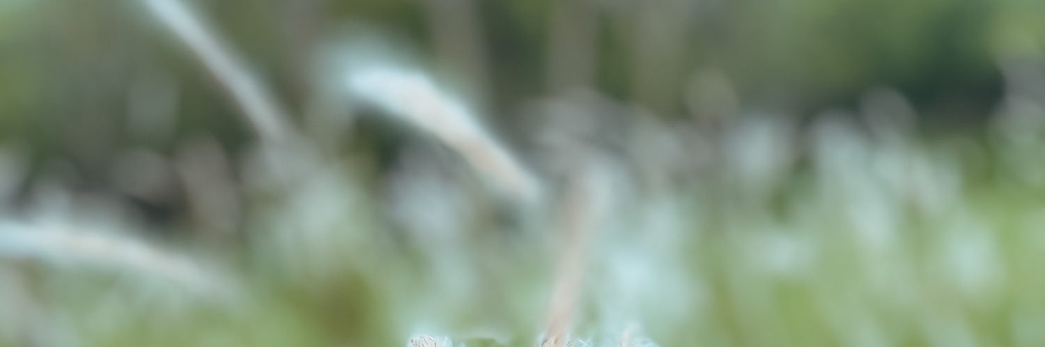 KhungolfLP's profile banner image