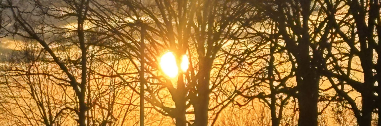 Ah! Bright Wings banner