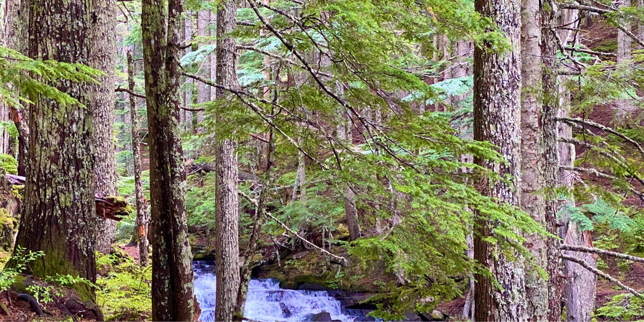 jockbuttboy (@jockbutt on 🦋) banner