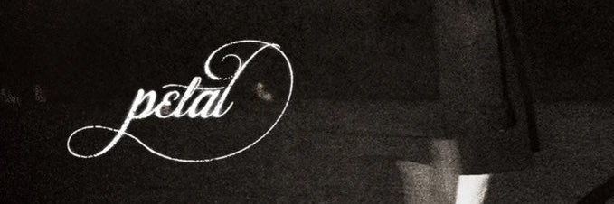 PONYBOY banner