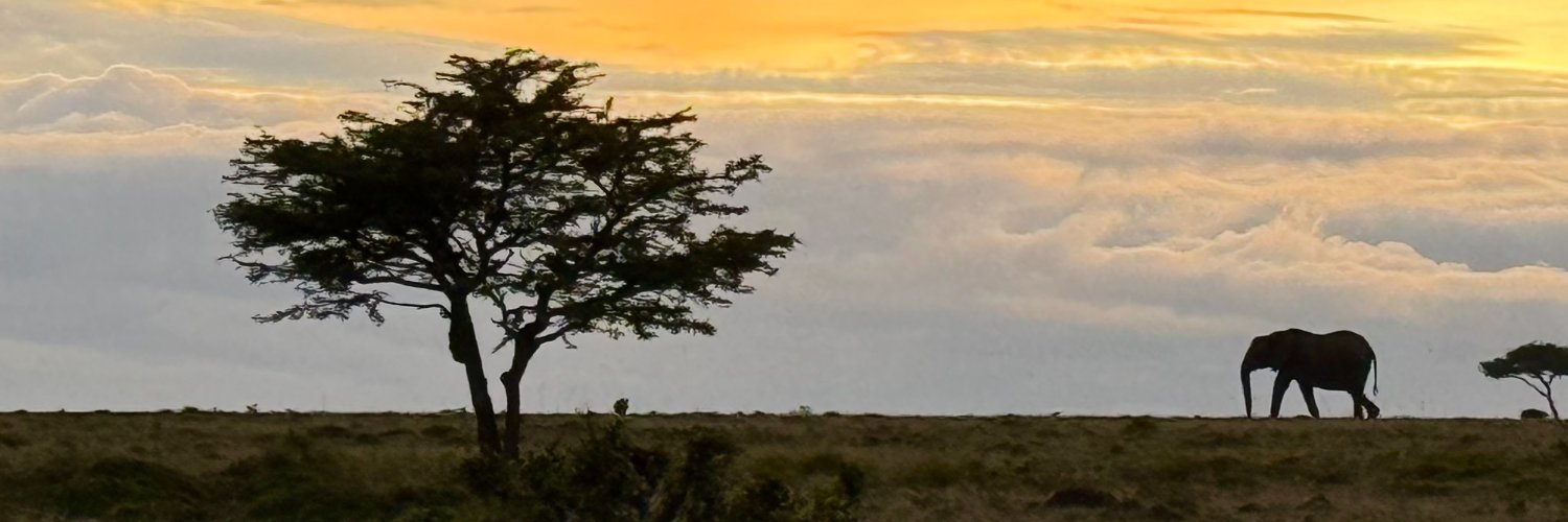 fiercefern's profile banner image