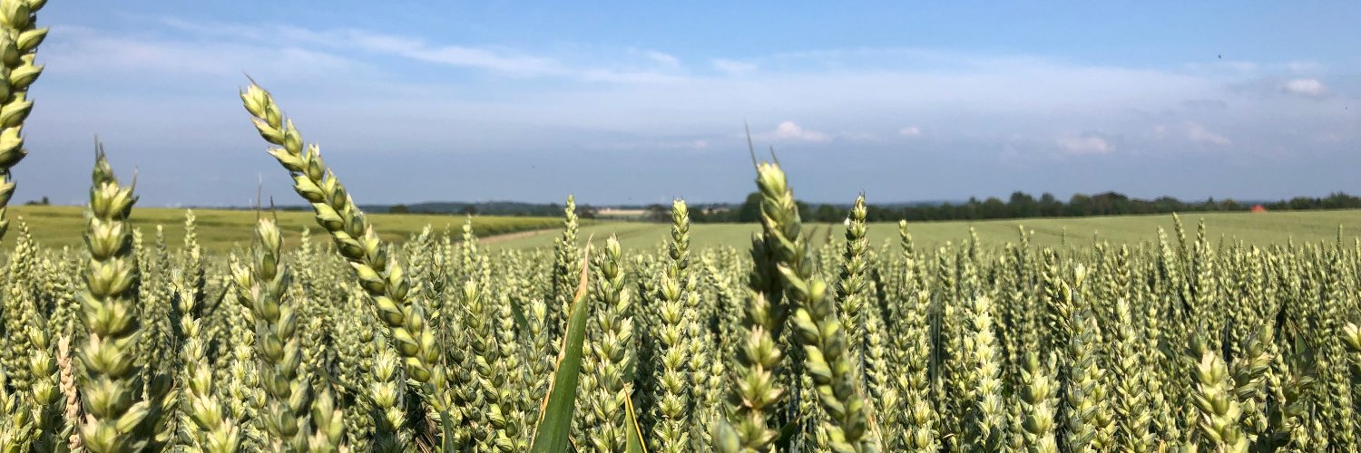 Ashley Ammeter banner