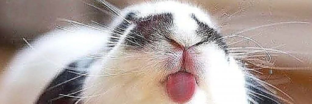 🔞 Gentlemann Co. (Comms CLOSED) 🔞 banner