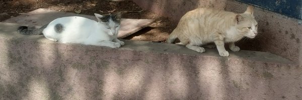 SharanRJ Profile Banner