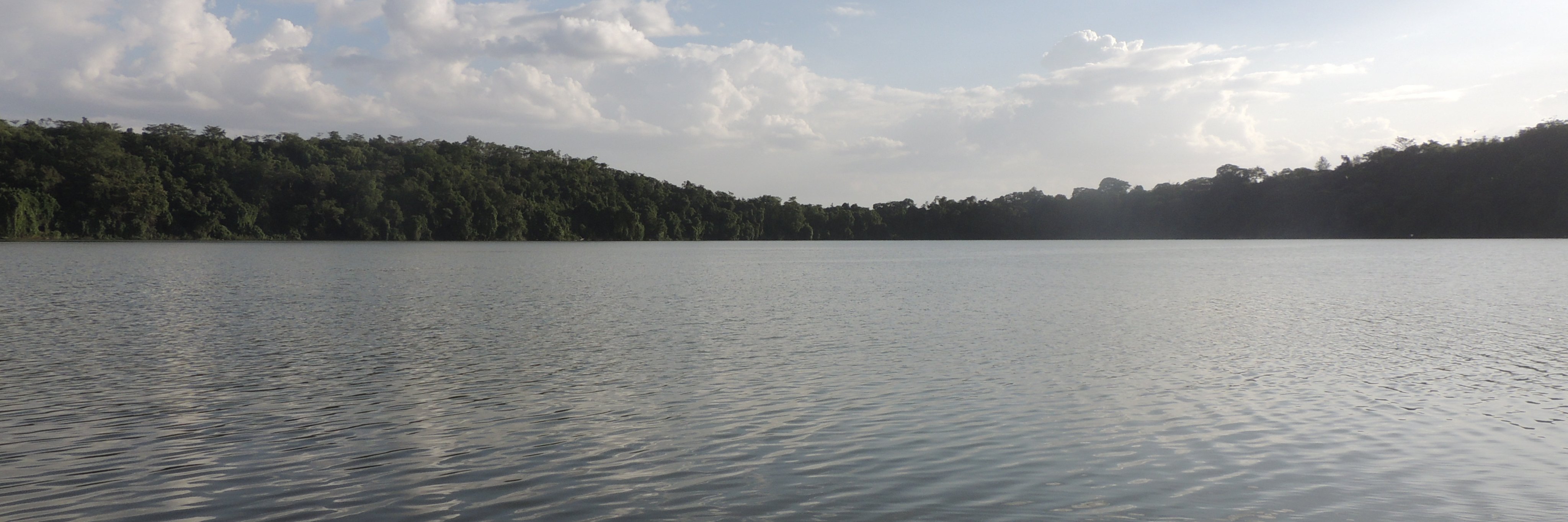 Kijana_Mdogo's banner