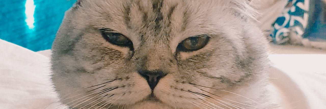 NiandMario's profile banner image