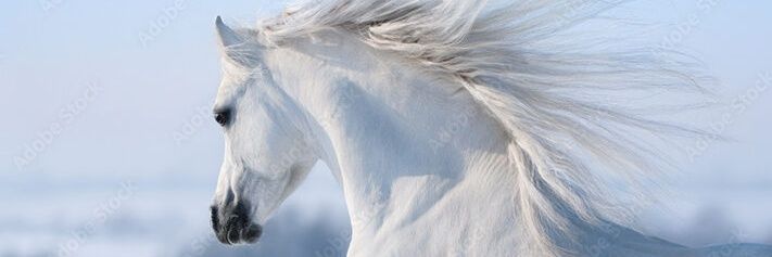 m_moneii's profile banner image