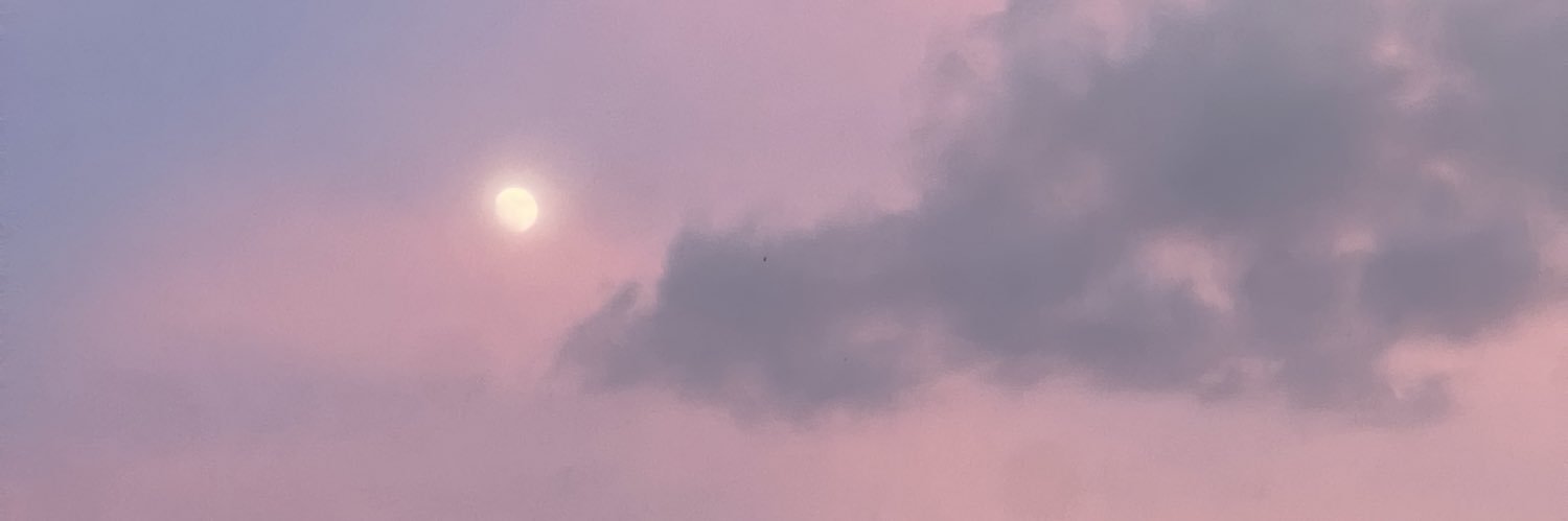 carlijohnsonn's profile banner image