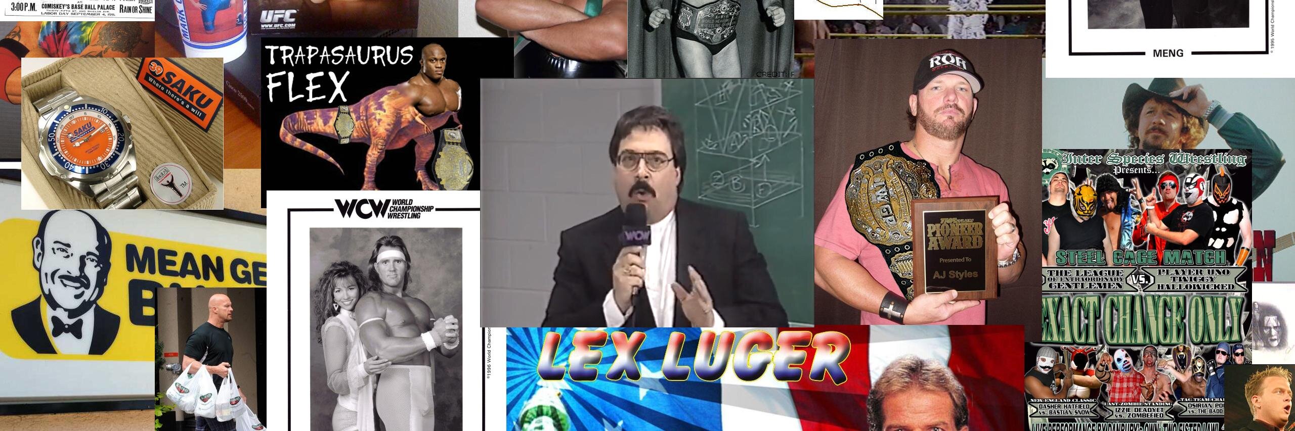 Nationally Published Troll banner