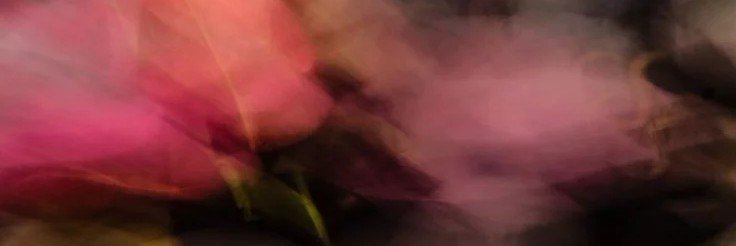 sailhouette's profile banner image